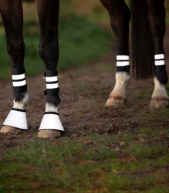 WALDHAUSEN REFLEX Bandage, Set