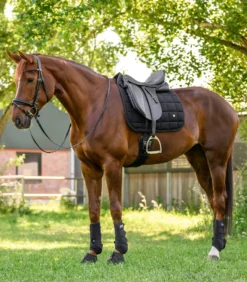 WALDHAUSEN Schabracke Breath Performance