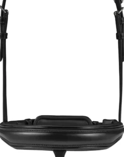 WALDHAUSEN S-Line Lacktrensenzaum Blackshine