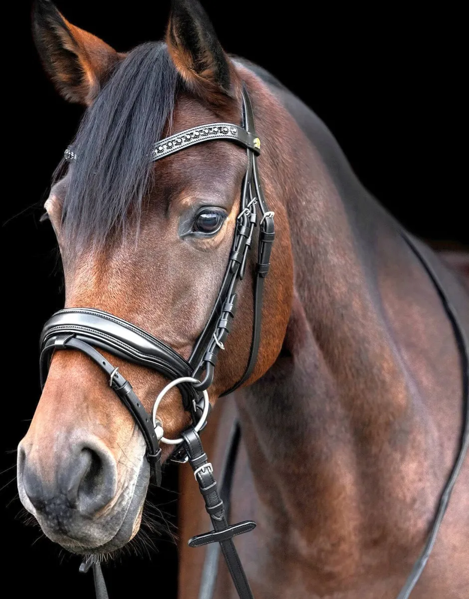 WALDHAUSEN S-Line Lacktrensenzaum Blackshine