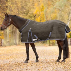 WALDHAUSEN Stalldecke Comfort Line, 300 g