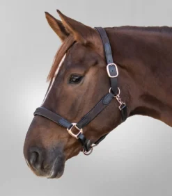 WALDHAUSEN STAR Halfter MIX