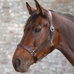 WALDHAUSEN STAR Lederhalfter Diamond