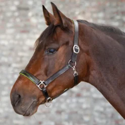 WALDHAUSEN STAR Lederhalfter Diamond