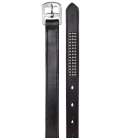 WALDHAUSEN STAR Steigbügelriemen Silverstar