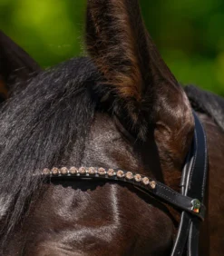 WALDHAUSEN X-Line Stirnband Glam, schwarz
