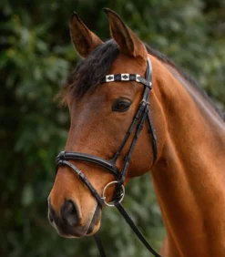 WALDHAUSEN X-Line Stirnband Polo, schwarz