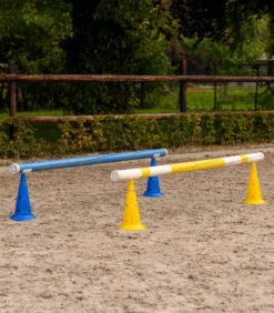 WALDHAUSEN XL-Pylone, 8er Set inkl. Tragetasche (Höhe 50 cm)