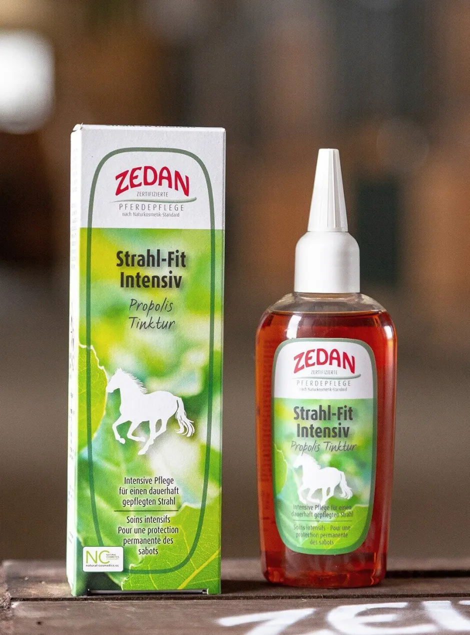 ZEDAN Strahl-Fit Intensiv
